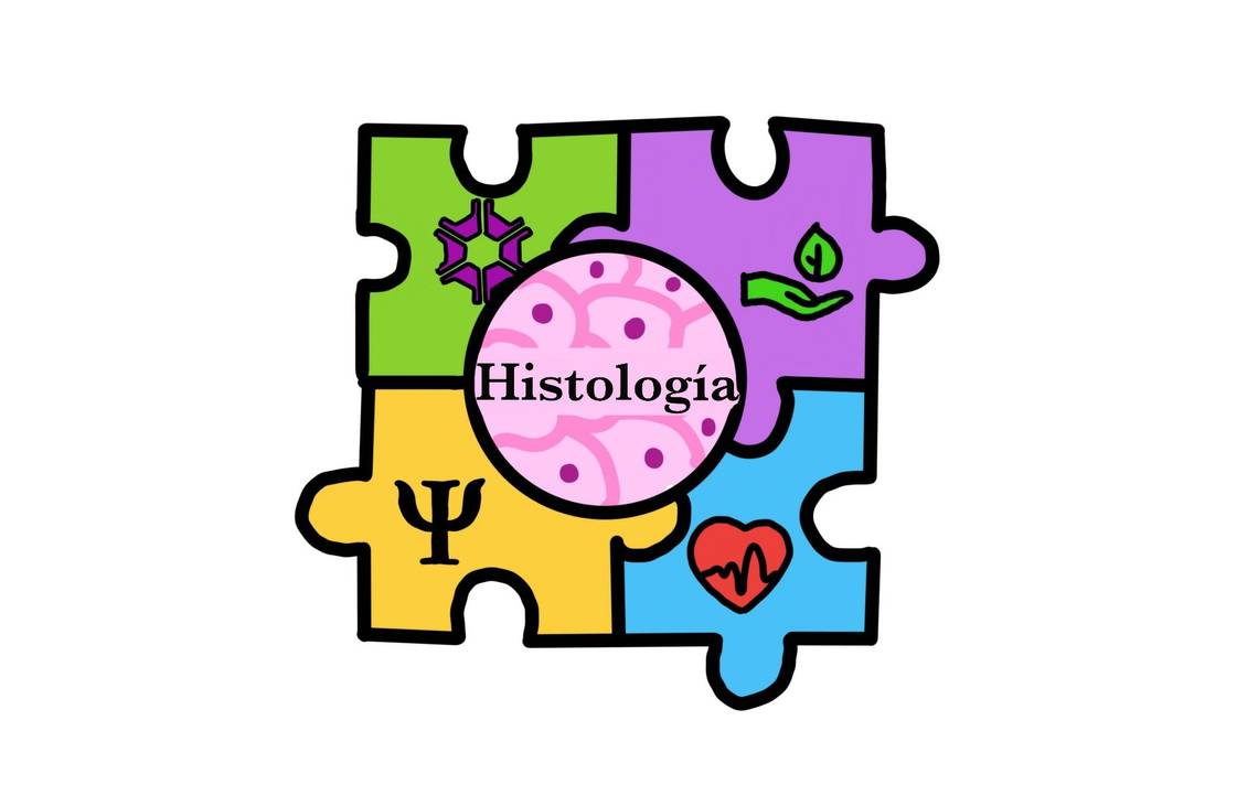Knowledge and light  Curiosities of Histology – Diario de Xalapa