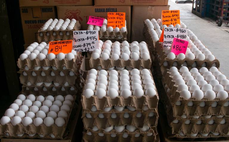 galope Pautas exceso Cuánto subió el precio del huevo en Veracruz, Xalapa y Córdoba? - Diario de  Xalapa | Noticias Locales, Policiacas, sobre México, Veracruz, y el Mundo