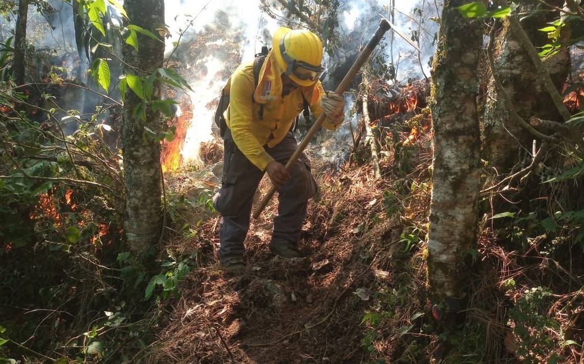 PC llama a la población a mantener las medidas preventivas;  Nueve incendios fueron atendidos – Diario de Xalapa