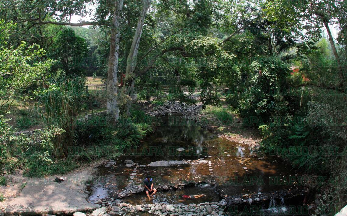 Archipiélago de Bosques y Selvas de Xalapa, sigue siendo invadido - Diario de Xalapa