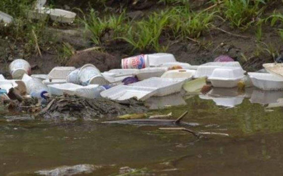 Omealca y Cuichapa responsables de daño ambiental en Río Blanco  contaminacion veracruz - Diario de Xalapa | Noticias Locales, Policiacas,  sobre México, Veracruz, y el Mundo