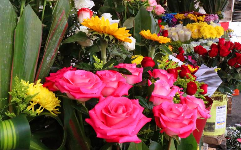 Precios de las flores en Xalapa para el Día del Amor y la Amistad - Diario  de Xalapa | Noticias Locales, Policiacas, sobre México, Veracruz, y el Mundo