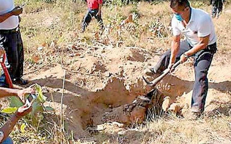Este lunes inicia Solecito búsqueda de restos humanos en el tétrico kilómetro 13.5 de Veracruz. Noticias en tiempo real