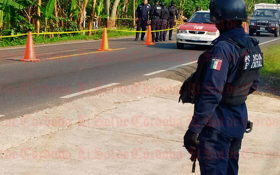 https://www.diariodexalapa.com.mx/policiaca/ut6gx5-platanar.jpg/ALTERNATES/LANDSCAPE_1140/platanar.jpg